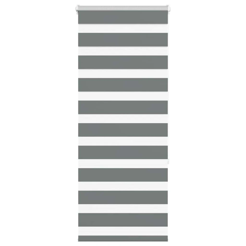 vidaXL žalūzijas zebra 55x150 cm auduma platums 50,9 cm poliesters