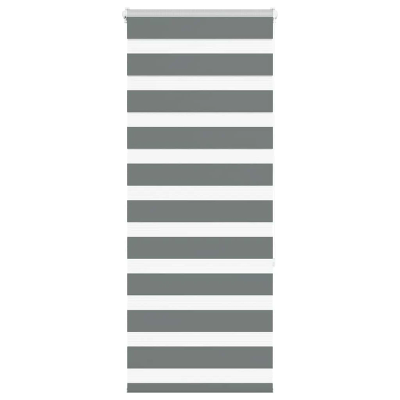 vidaXL žalūzijas zebra 60x150 cm auduma platums 55,9 cm poliesters