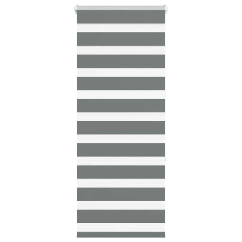 vidaXL žalūzijas zebra 65x150 cm auduma platums 60,9 cm poliesters
