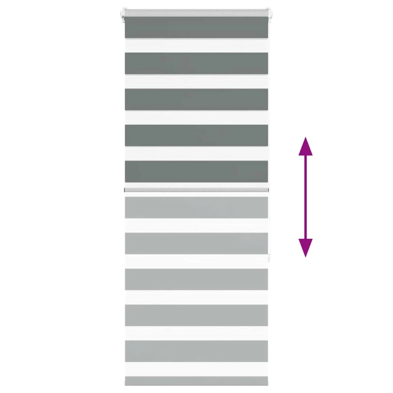 vidaXL žalūzijas zebra 65x150 cm auduma platums 60,9 cm poliesters