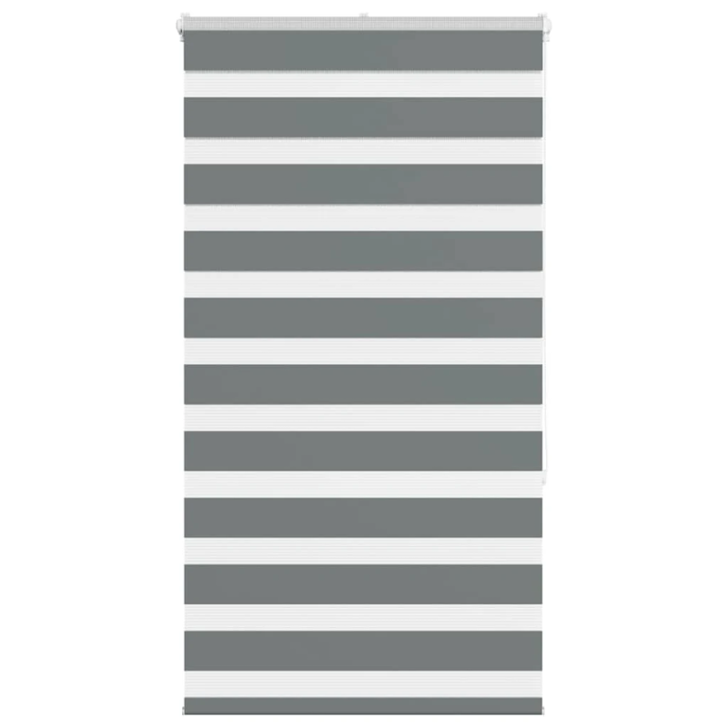 vidaXL žalūzijas zebra 75x150 cm auduma platums 70,9 cm poliesters