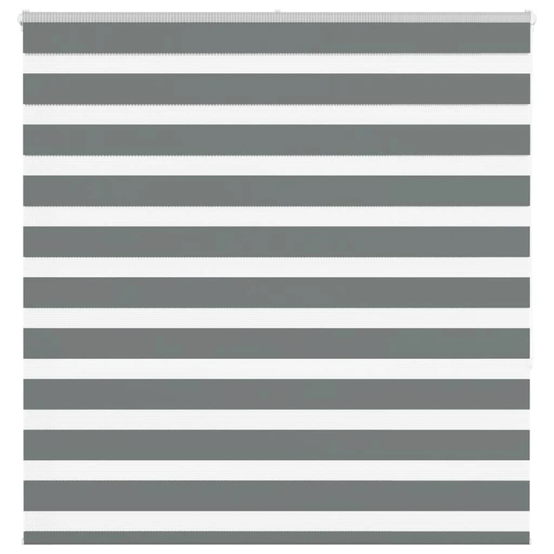 vidaXL žalūzijas zebra 150x150 cm auduma platums 145,9 cm poliesters