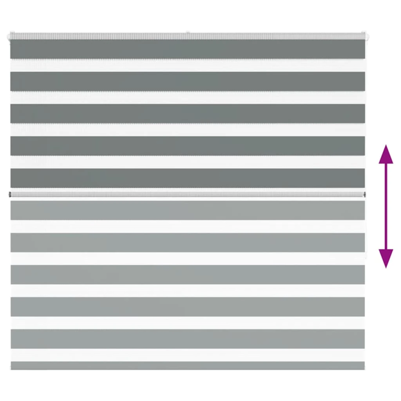 vidaXL žalūzijas zebra 165x150 cm auduma platums 160,9 cm poliesters