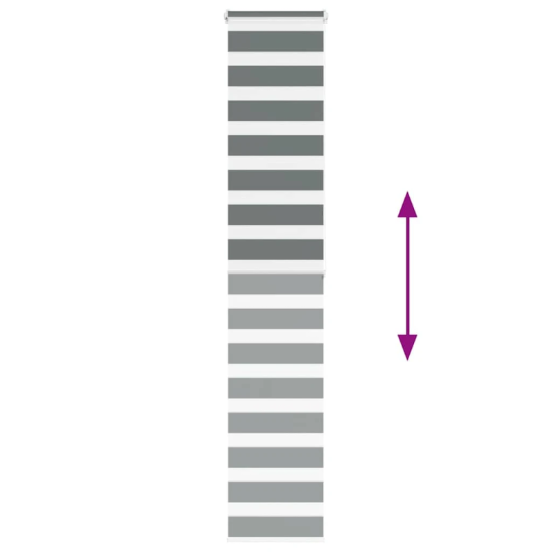 vidaXL žalūzijas zebra 40x200 cm auduma platums 35,9 cm poliesters