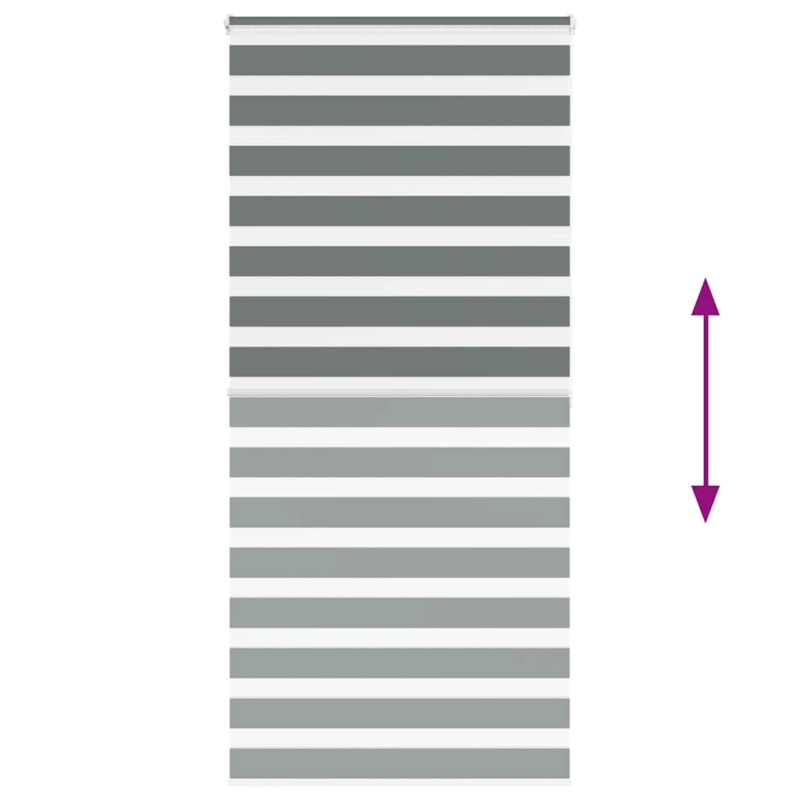 vidaXL žalūzijas zebra 105x200 cm auduma platums 100,9 cm poliesters