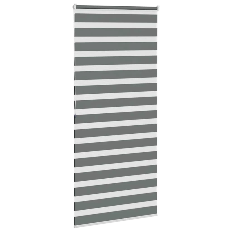 vidaXL žalūzijas zebra 105x200 cm auduma platums 100,9 cm poliesters