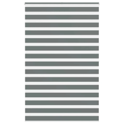 vidaXL žalūzijas zebra 150x200 cm auduma platums 145,9 cm poliesters