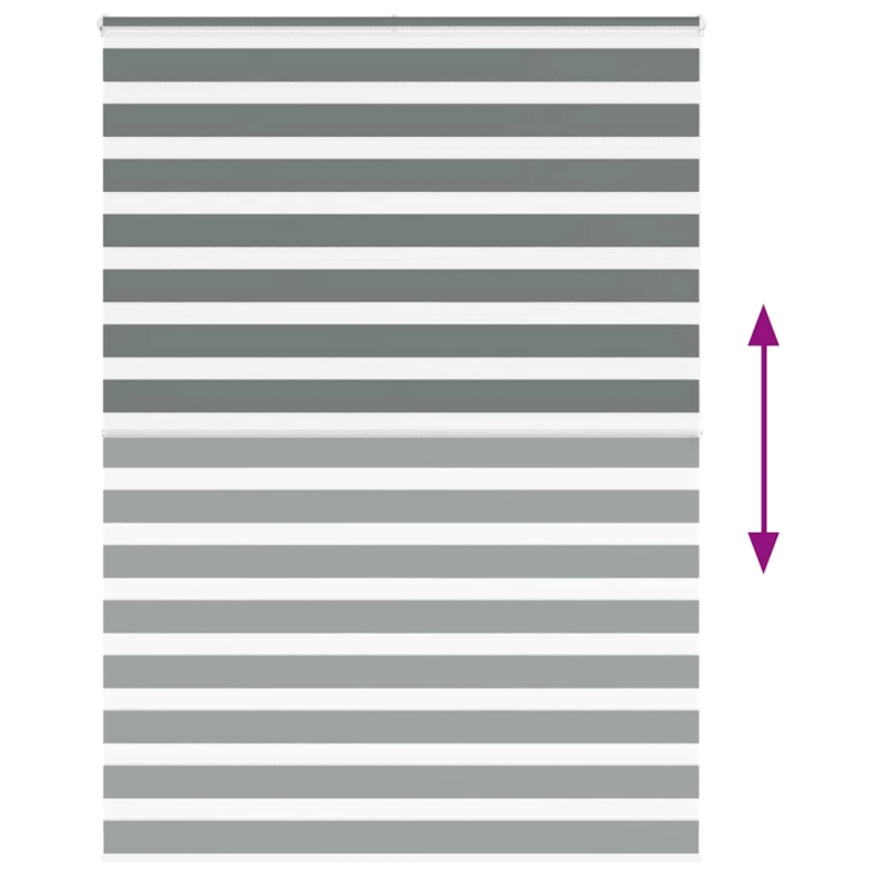 vidaXL žalūzijas zebra 160x200 cm auduma platums 155,9 cm poliesters