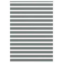 vidaXL žalūzijas zebra 165x200 cm auduma platums 160,9 cm poliesters