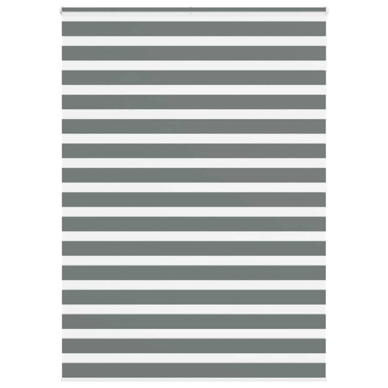 vidaXL žalūzijas zebra 165x200 cm auduma platums 160,9 cm poliesters