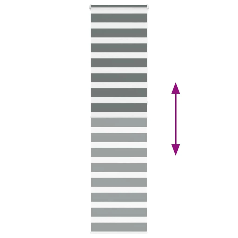 vidaXL žalūzijas zebra 60x230 cm auduma platums 55,9 cm poliesters