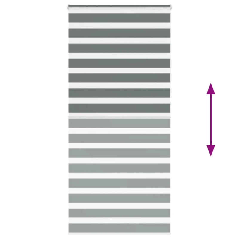 vidaXL žalūzijas zebra 105x230 cm auduma platums 100,9 cm poliesters