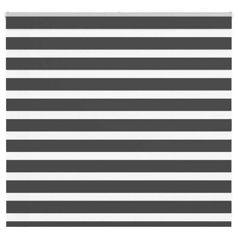 vidaXL žalūzijas zebra 165x100 cm auduma platums 160,9 cm poliesters