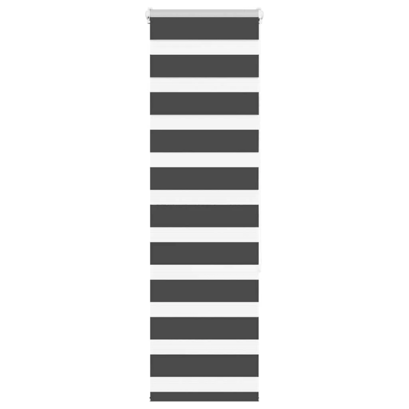 vidaXL žalūzijas zebra 40x150 cm auduma platums 35,9 cm poliesters