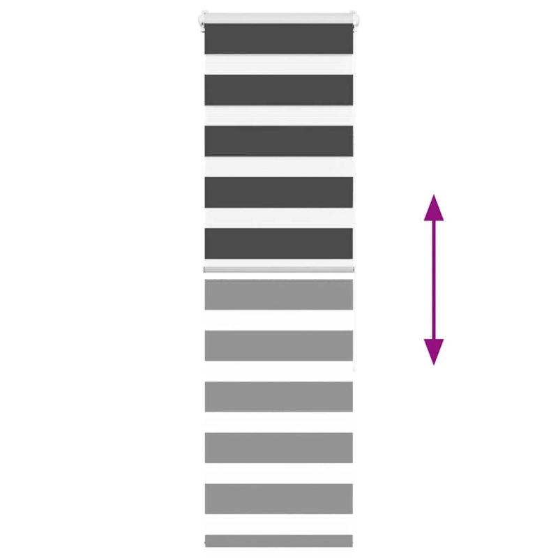 vidaXL žalūzijas zebra 50x150 cm auduma platums 45,9 cm poliesters