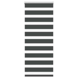 vidaXL žalūzijas zebra 55x150 cm auduma platums 50,9 cm poliesters