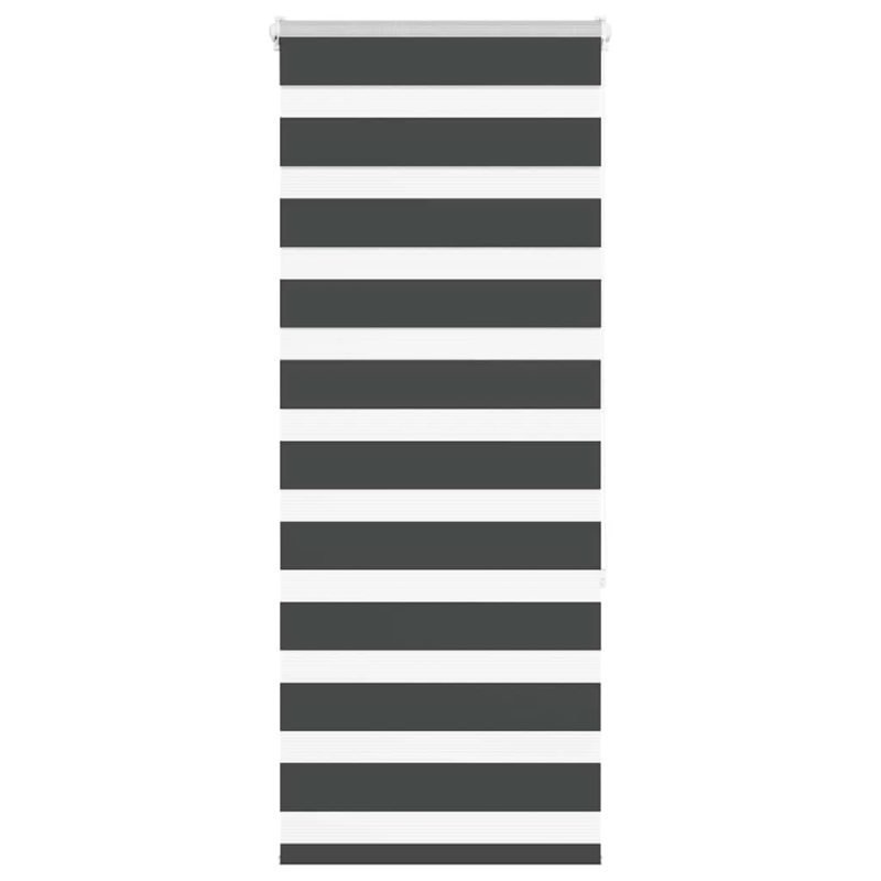 vidaXL žalūzijas zebra 55x150 cm auduma platums 50,9 cm poliesters
