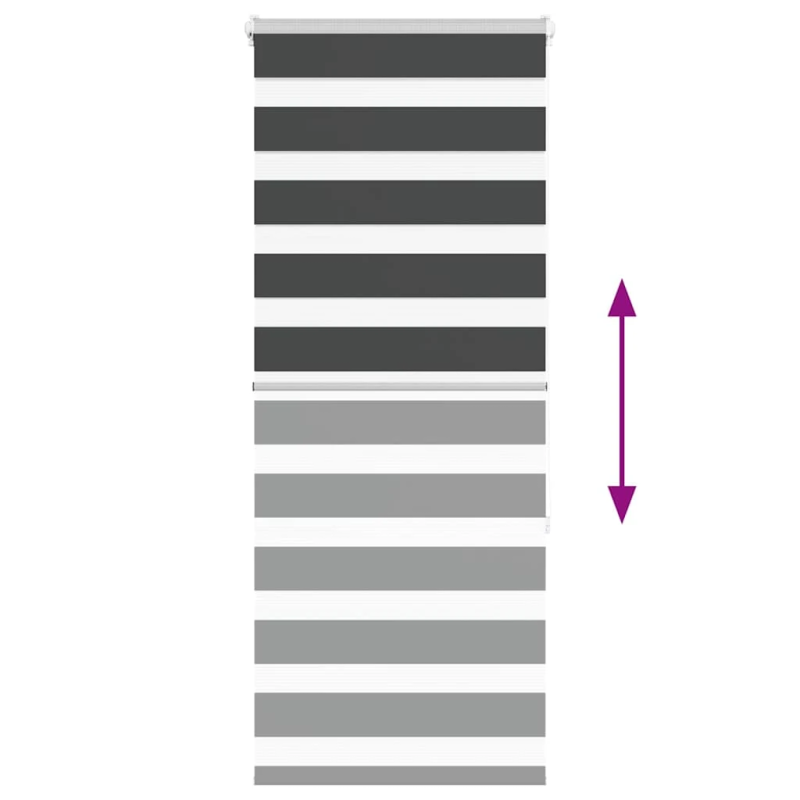 vidaXL žalūzijas zebra 55x150 cm auduma platums 50,9 cm poliesters