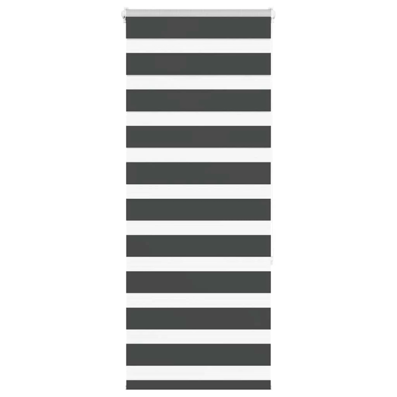 vidaXL žalūzijas zebra 60x150 cm auduma platums 55,9 cm poliesters