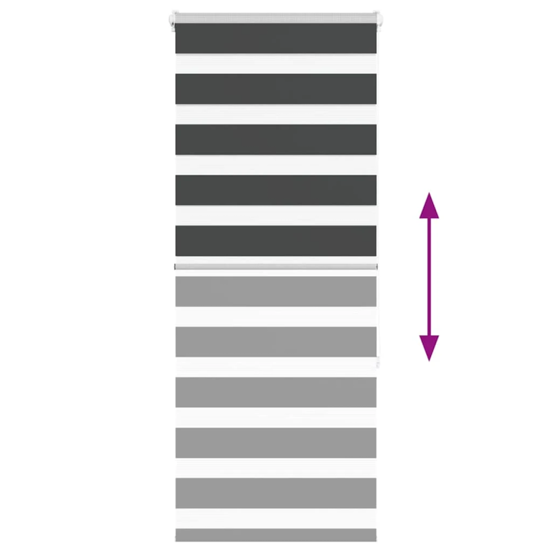 vidaXL žalūzijas zebra 60x150 cm auduma platums 55,9 cm poliesters