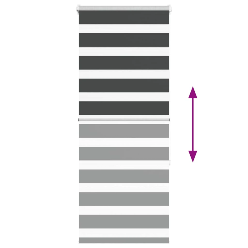 vidaXL žalūzijas zebra 65x150 cm auduma platums 60,9 cm poliesters