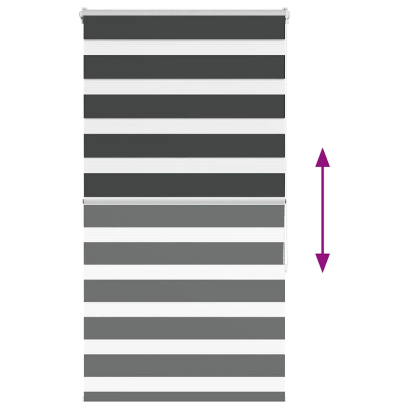 vidaXL žalūzijas zebra 70x150 cm auduma platums 65,9 cm poliesters