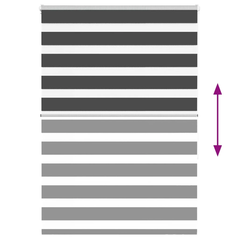vidaXL žalūzijas zebra 95x150 cm auduma platums 90,9 cm poliesters