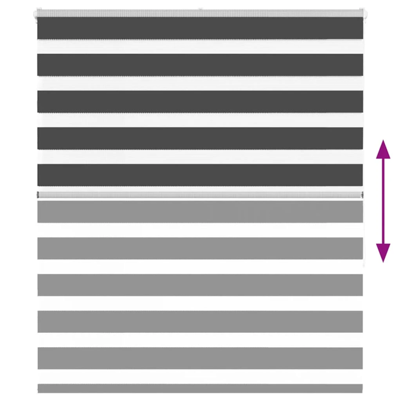 vidaXL žalūzijas zebra 120x150 cm auduma platums 115,9 cm poliesters