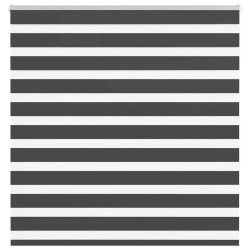vidaXL zebrinės žaliuzės 150x150 cm audinio plotis 145,9cm poliesteris