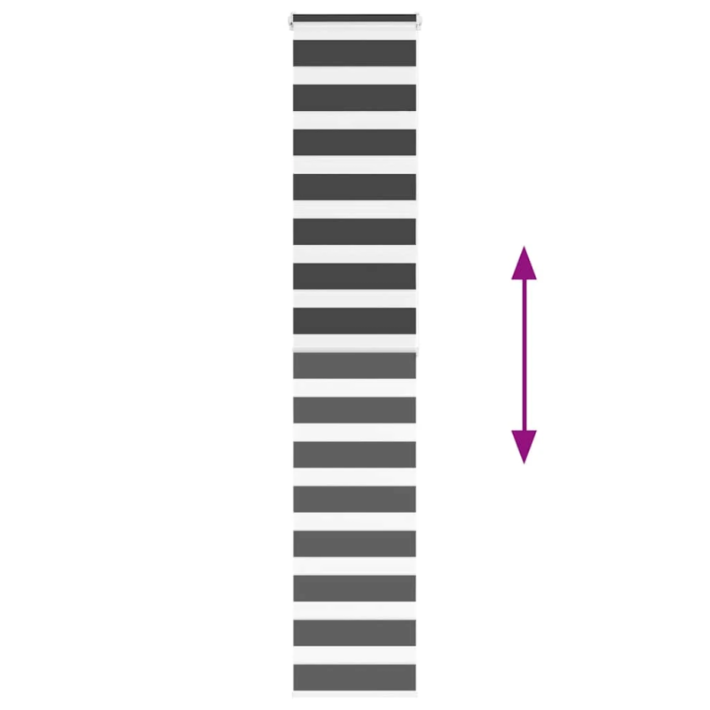 vidaXL žalūzijas zebra 45x200 cm auduma platums 40,9 cm poliesters