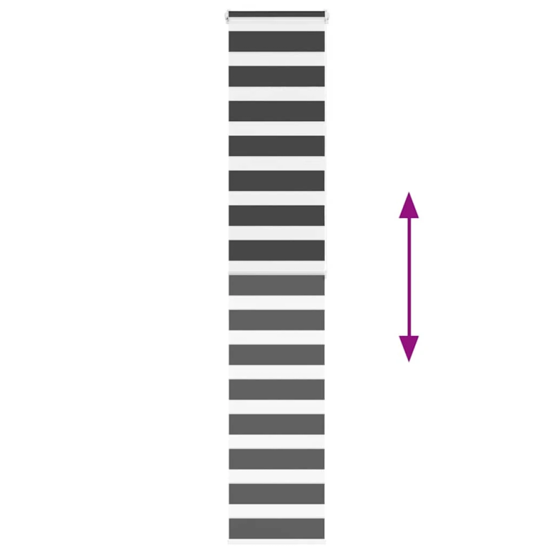 vidaXL žalūzijas zebra 50x200 cm auduma platums 45,9 cm poliesters