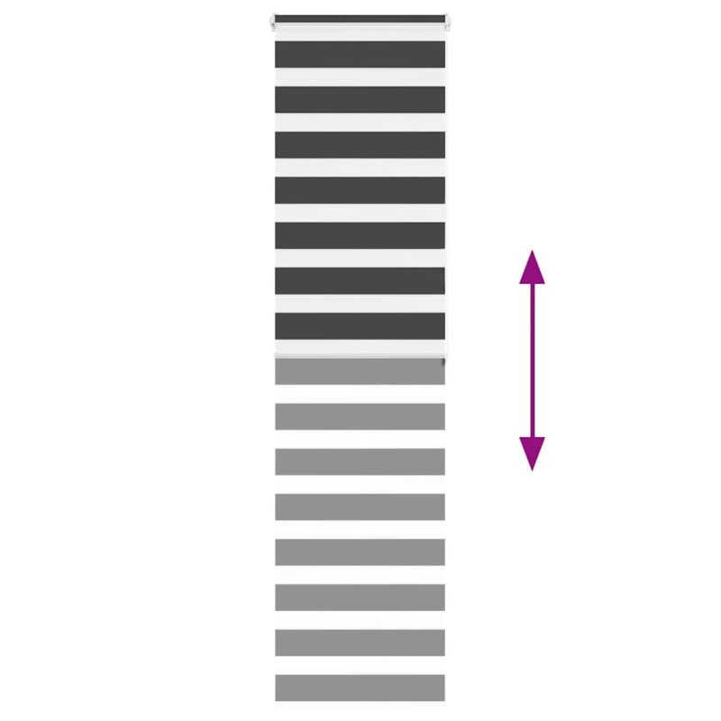 vidaXL žalūzijas zebra 60x200 cm auduma platums 55,9 cm poliesters