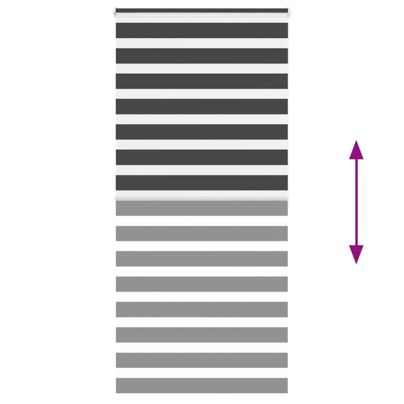 vidaXL žalūzijas zebra 105x200 cm auduma platums 100,9 cm poliesters