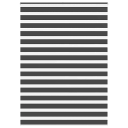 vidaXL žalūzijas zebra 155x200 cm auduma platums 150,9 cm poliesters