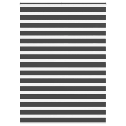 vidaXL žalūzijas zebra 160x200 cm auduma platums 155,9 cm poliesters