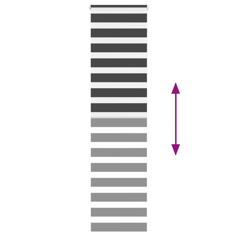 vidaXL žalūzijas zebra 60x230 cm auduma platums 55,9 cm poliesters