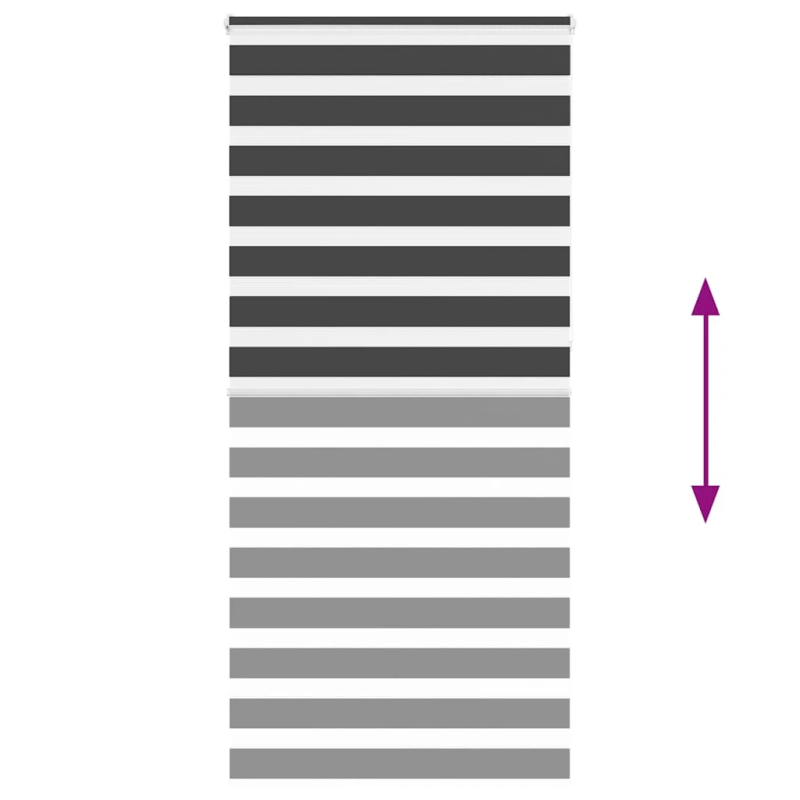 vidaXL žalūzijas zebra 105x230 cm auduma platums 100,9 cm poliesters
