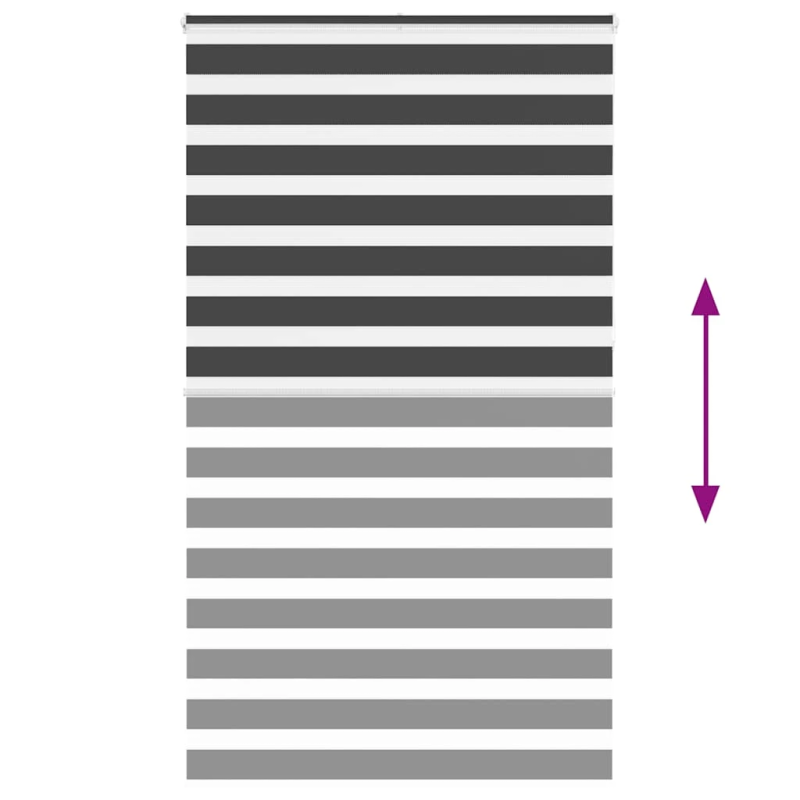 vidaXL žalūzijas zebra 120x230 cm auduma platums 115,9 cm poliesters