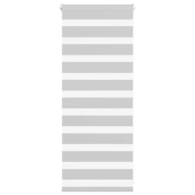 vidaXL žalūzijas zebra 60x100 cm auduma platums 55,9 cm poliesters