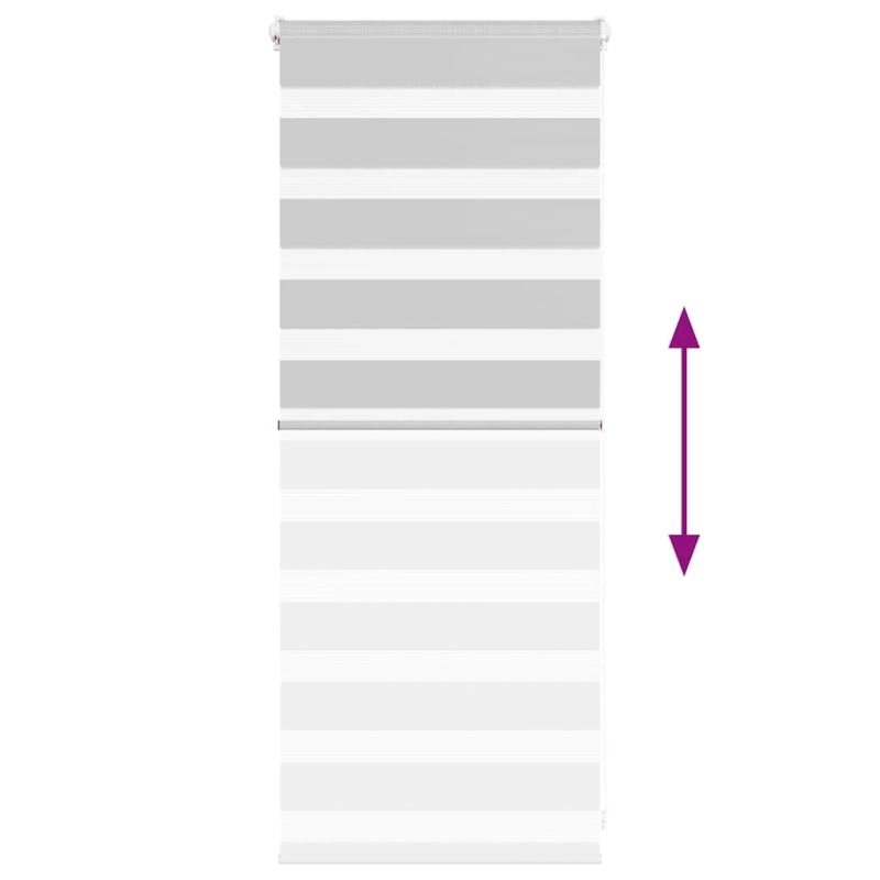 vidaXL žalūzijas zebra 65x100 cm auduma platums 60,9 cm poliesters