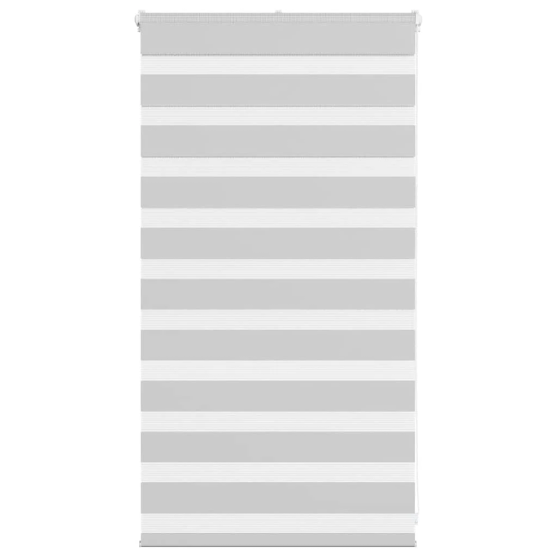 vidaXL žalūzijas zebra 70x100 cm auduma platums 65,9 cm poliesters