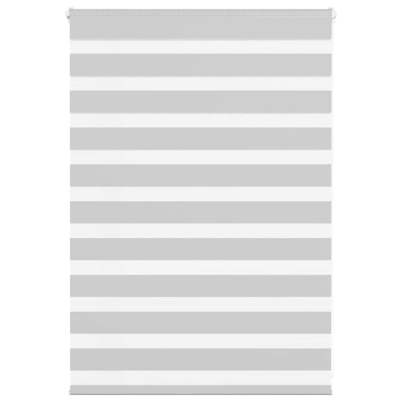 vidaXL žalūzijas zebra 100x100 cm auduma platums 95,9 cm poliesters