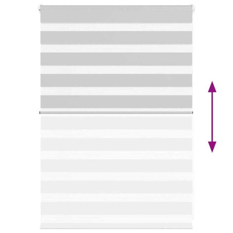 vidaXL žalūzijas zebra 100x100 cm auduma platums 95,9 cm poliesters