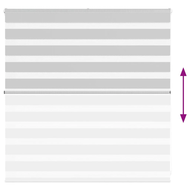 vidaXL žalūzijas zebra 150x100 cm auduma platums 145,9 cm poliesters