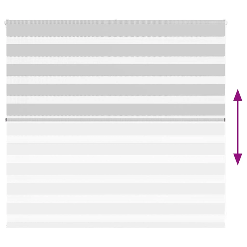 vidaXL žalūzijas zebra 155x100 cm auduma platums 150,9 cm poliesters