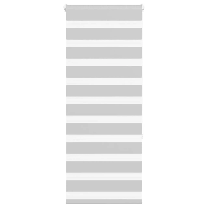 vidaXL žalūzijas zebra 55x150 cm auduma platums 50,9 cm poliesters