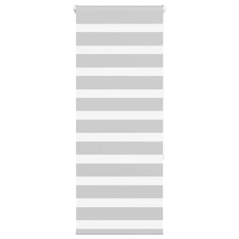 vidaXL žalūzijas zebra 65x150 cm auduma platums 60,9 cm poliesters