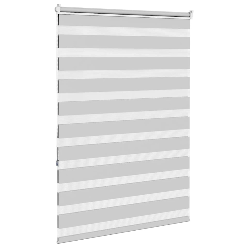 vidaXL žalūzijas zebra 100x150 cm auduma platums 95,9 cm poliesters