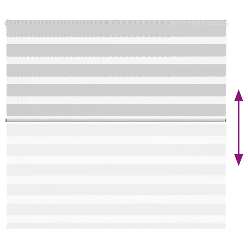 vidaXL žalūzijas zebra 160x150 cm auduma platums 155,9 cm poliesters