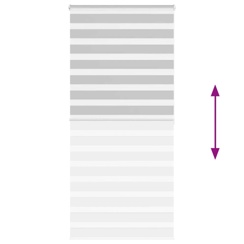 vidaXL žalūzijas zebra 105x200 cm auduma platums 100,9 cm poliesters